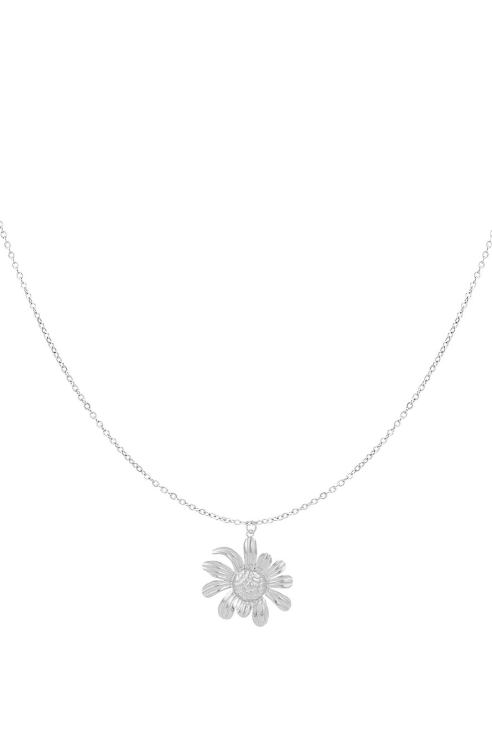 Daisy