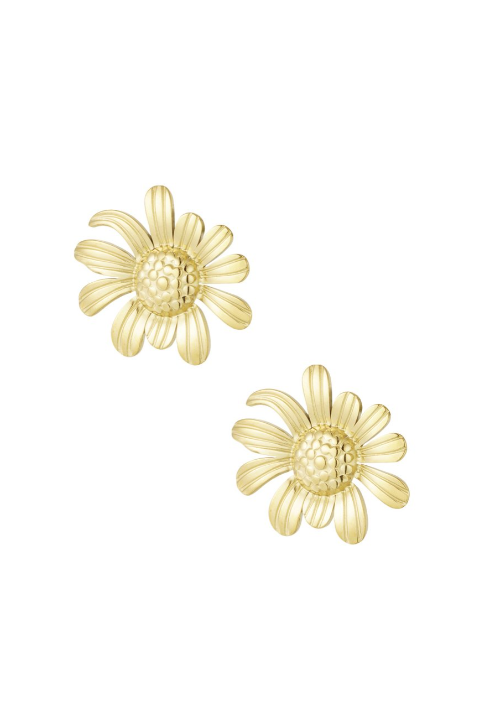 Daisy's