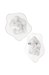 Flabrum