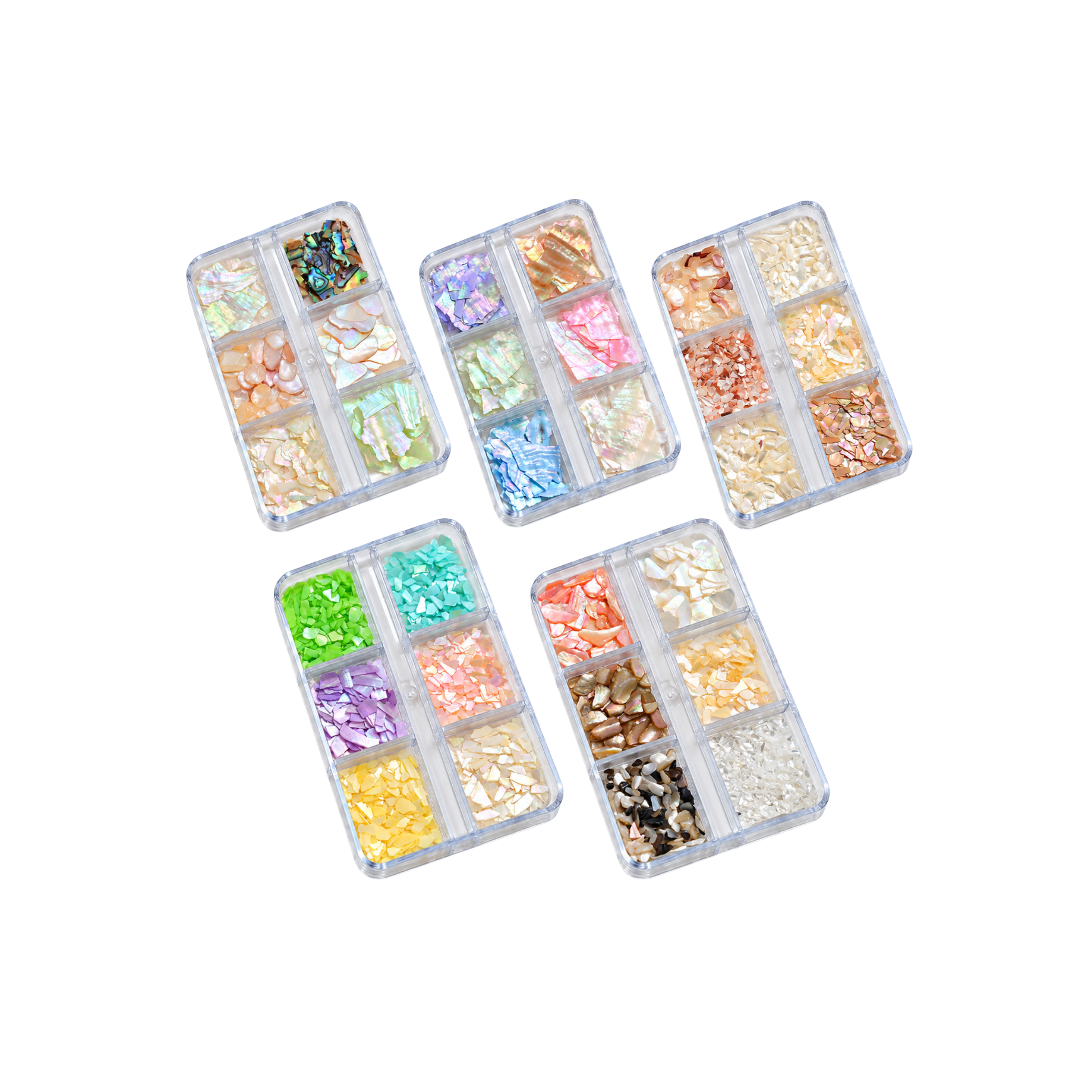 Seashells 1