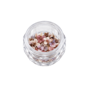Dried Flowers 3