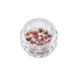 Dried Flowers 3