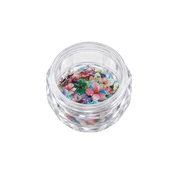 Dried Flowers 5