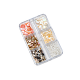 Seashells 1