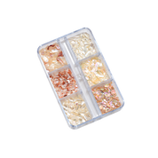 Seashells 4