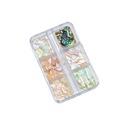 Seashells 5